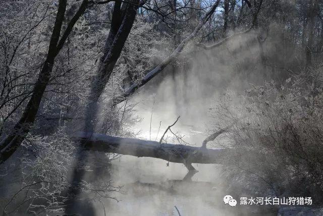 滚筒洗衣机里的加热装置用的是什么游戏画面