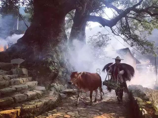 死亡净化爆发