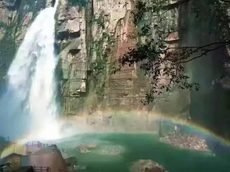 飞天小猪仔