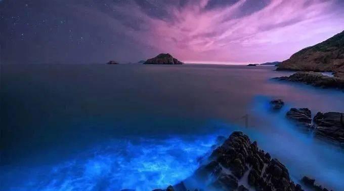 逃离沙地