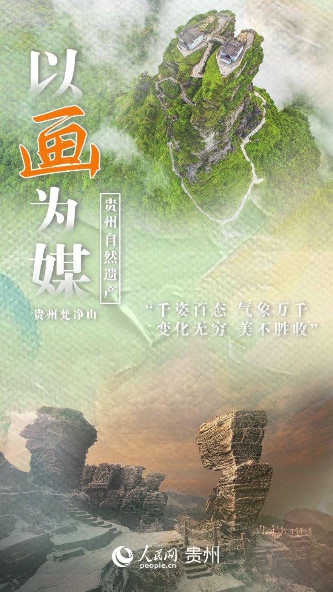 88影视