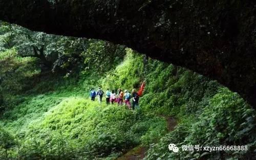 逃离死亡岛
