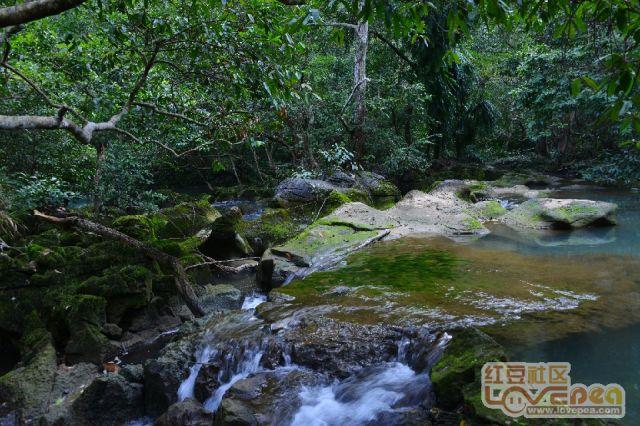 傅家镇姜家村:粉刷美化旧墙面 助力乡村换新颜