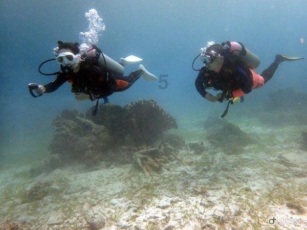 海口龙华区发放购车补贴！补贴对象、条件→