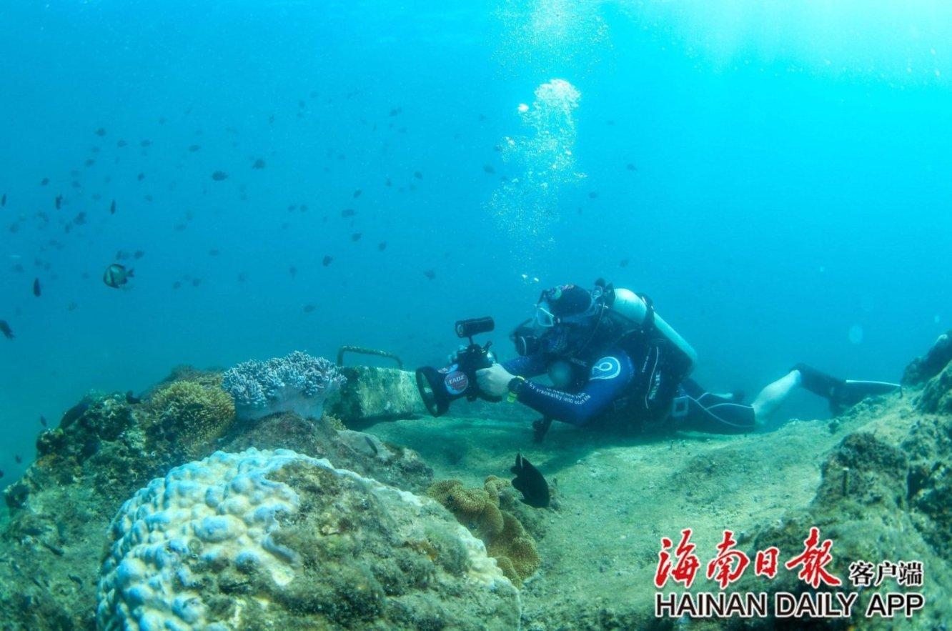 逃离危险禁地