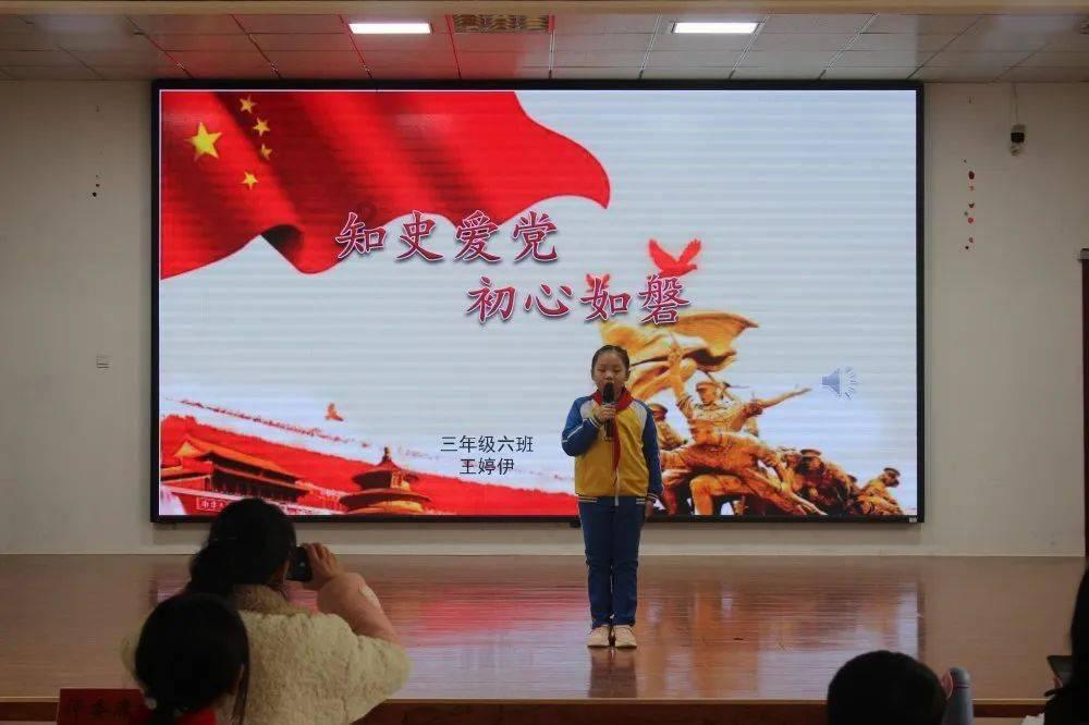 救援可爱小猪仔