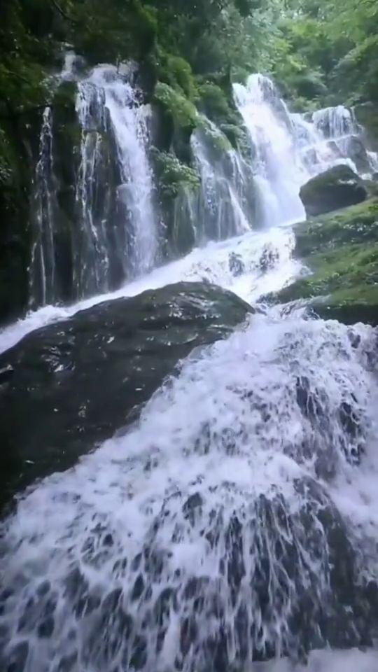 逃离水虎鱼湖