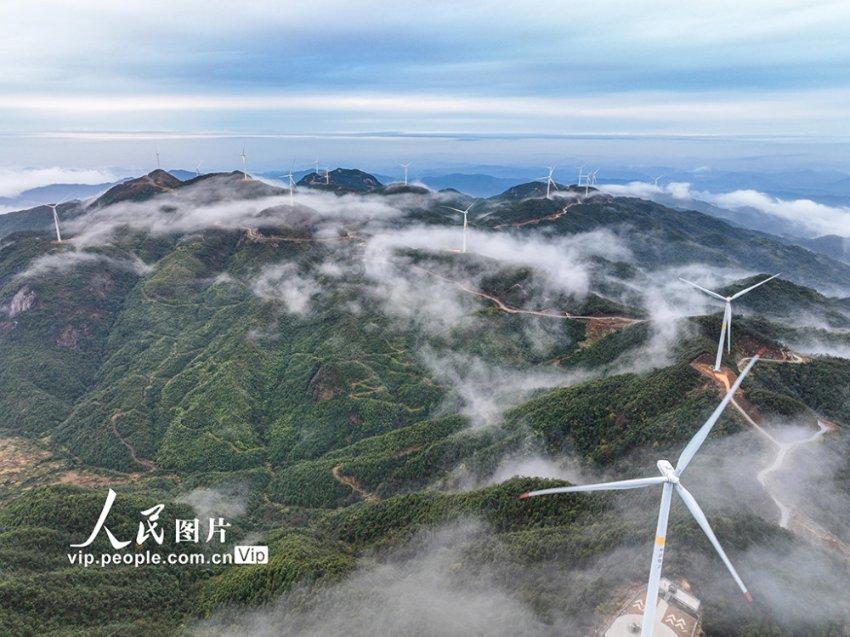小猫钓鱼开船版最新版下载