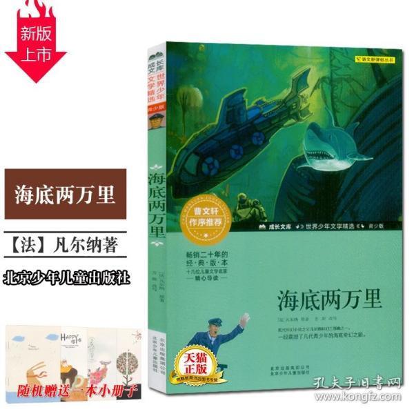 清凉夏日冰淇淋