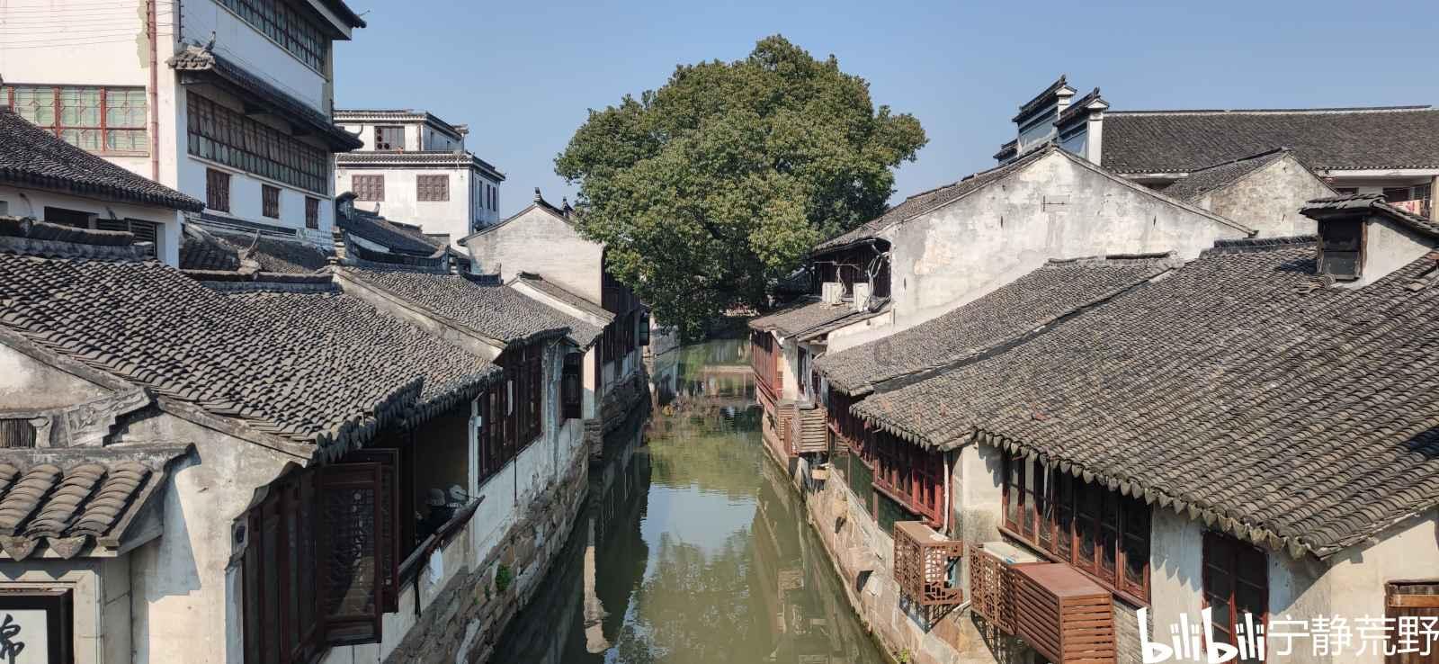 这么拼,连名声都不要了?