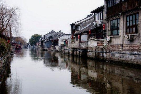 金刚鹦鹉逃生