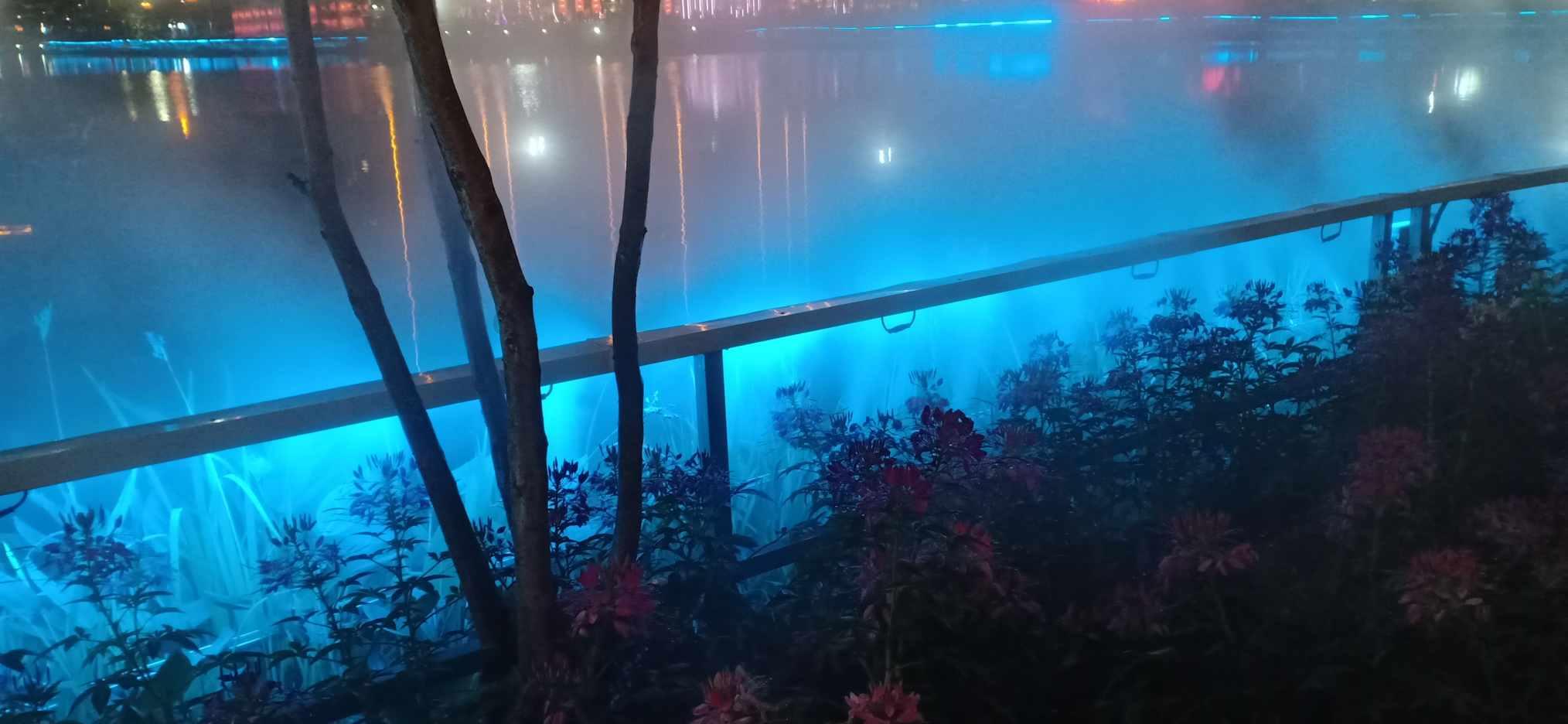 探探猫宝石岛2
